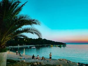 een groep mensen op een strand met een palmboom bij Royal Apartments Sandra in Štinjan