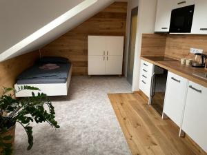 Kuchyň nebo kuchyňský kout v ubytování Apartmán u Ovečků - Nová Paka