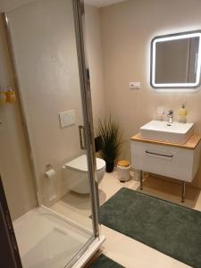 La salle de bains est pourvue d'une douche, d'un lavabo et de toilettes. dans l'établissement Apartmán u Ovečků - Nová Paka, à Nová Paka