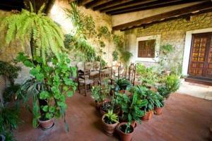 a room filled with lots of plants in a building at Hospedaje Octavio in Santillana del Mar