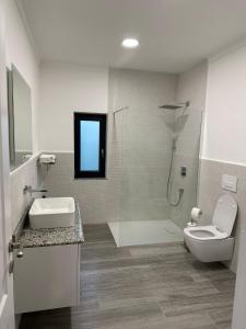 a bathroom with a shower and a toilet and a sink at M&S Apartament 1 in Baile Felix