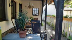 une terrasse couverte avec une plante en pot sur une table dans l'établissement Kutscherwohnung, à Kiel
