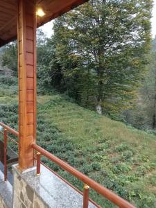 a screened porch with a view of a tree at Kulaksız Köşk Villa in Rize