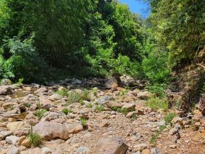 um rio rochoso com árvores ao fundo em Agriturismo Lampugnano em Civitella Marittima