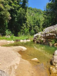 um rio com pedras e árvores ao fundo em Agriturismo Lampugnano em Civitella Marittima