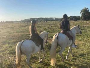 dwoje ludzi jeżdżących konno na polu w obiekcie Authentique roulotte foraine w mieście Arles
