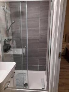 a shower with a glass door in a bathroom at Glenbeg Lodge B&B in Rathdrum