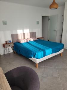 亞維儂的住宿－Appartement Jean Vilar，一间卧室配有一张大床和蓝色的床罩