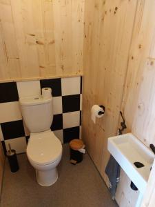 ein Bad mit einem WC und einem Waschbecken in der Unterkunft Kampeerplaats Glamping Essenhof in Aagtekerke