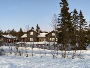 una casa en la nieve con árboles delante en Luxurious, well-Equipped and modern Cabin by the Cross-Country Ski Trails, en Eggedal