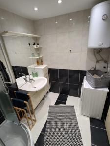 a bathroom with a sink and a toilet and a sink at STUDIO APARTMAN KARLER in Karlovac