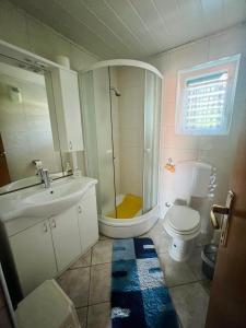 a bathroom with a sink and a toilet and a shower at Apartmani Zora in Kruševo