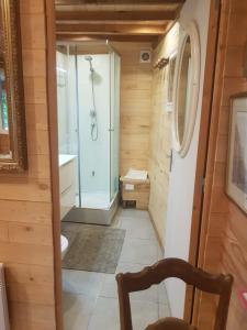 a bathroom with a walk in shower and a toilet at Holiday Chalet 2 Set in Country side in Bouteilles-Saint-Sébastien