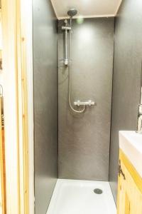 a shower stall in a bathroom with a sink at Homestead Hut 