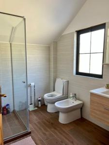 a bathroom with a toilet and a sink and a shower at Villa Kei 