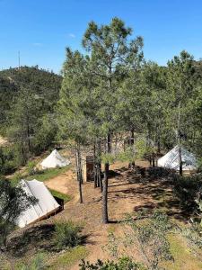 Foto de la galería de Parque da Mina en Monchique