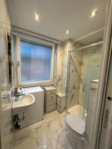 La salle de bains est pourvue d'un lavabo, de toilettes et d'une douche. dans l'établissement Al Porto Di Roma B&B, à Lido di Ostia