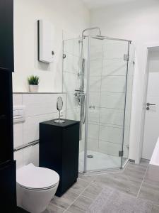 a bathroom with a shower with a toilet and a sink at HarzFokus - Happynest - #Netflix#Wlan#Zentrum in Wernigerode +13 photos