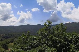 vista sulle montagne con un albero in primo piano di Casa La Rondine. Un panorama sospeso sulla natura a Carro