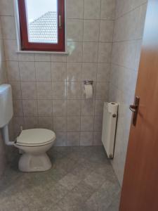 a bathroom with a toilet and a window at Apartma Julia in Spodnje Gorje +11 photos