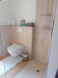 een kleine badkamer met een toilet en een douche bij Ferienwohnung in Schwarzach Vorarlberg in Schwarzach