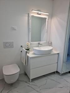 ein Badezimmer mit einem Waschbecken, einem WC und einem Spiegel in der Unterkunft Luxury Apartment Umag in Umag