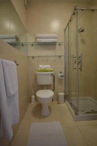 uma casa de banho com um WC e um chuveiro com toalhas em 27 Cill Ard Bohermore galway em Galway