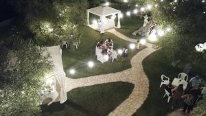 an overhead view of a wedding in a park at night at Tenuta Verdolivo in Ostuni +73 photos