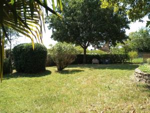 un patio con un arbusto y un árbol en Au Repos, en Tréziers