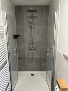 eine Dusche mit Glastür im Bad in der Unterkunft Moderne Ferienwohnung in der Festspielstadt Bayreuth - zentral und dennoch ruhig gelegen in Bayreuth