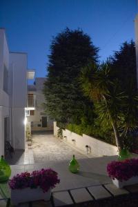 a courtyard with a palm tree and a building at Il Giardino dei Ricordi in Alberobello