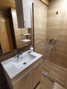 a bathroom with a sink and a shower at Brvnare Libero TARA in Sekulić  +23 photos