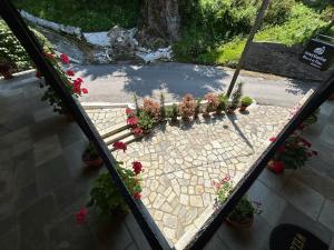 Zahrada ubytování Λευκή Καμέλια