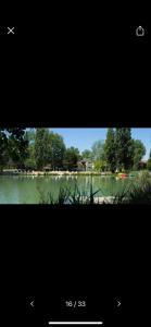 a picture of a lake with a bird flying over it at Studio meublé in Arles