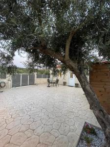 une grande terrasse avec un arbre et une table dans l'établissement Elia House, à La Canée