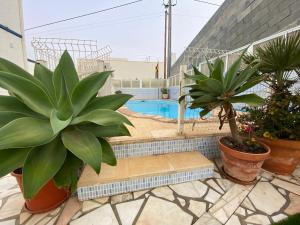eine Terrasse mit Topfpflanzen und einem Pool in der Unterkunft Casa Godinho in São Martinho do Porto