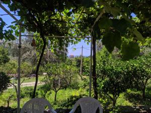 a garden with two chairs and a pergola at Olive House in Petrovac na Moru
