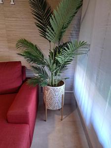 Część wypoczynkowa w obiekcie Apartamento AGRELO