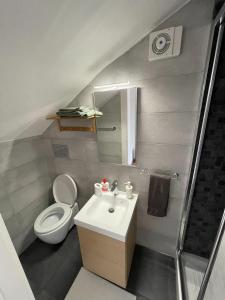 La petite salle de bains est pourvue de toilettes et d'un lavabo. dans l'établissement Casa vacanza a Capalbio, à Nunziatella