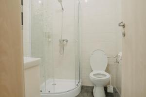 La salle de bains est pourvue d'une douche et de toilettes. dans l'établissement Pensiunea Suzanne Băile Figa, à Beclean