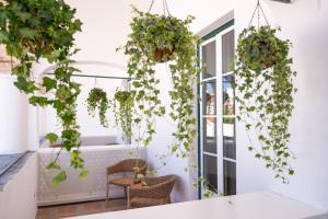 Lilases Boutique House & Garden في مورا: غرفة بها الكثير من النباتات على الحائط