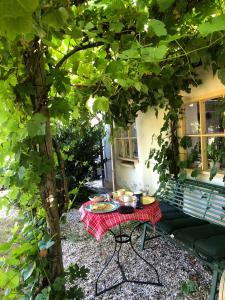 a picnic table under a tree in front of a house at Het Betuws Erfje in Maurik