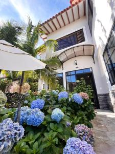グアタペにある1714 Hotel Boutique Guatapéの家の前の青い花の庭園