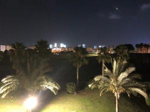 a view of a city at night with palm trees at Porto El Alamein in El Alamein