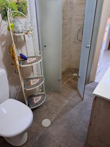 a bathroom with a white toilet and a shower at Charming Warm and Sun-Filled 1 and 2 Bedroom Apartment in Ashdod