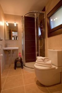 uma casa de banho com um chuveiro, um WC e um lavatório. em Segotegi Etxea em Orio