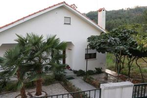 una casa bianca con una palma di fronte di Ecorustics stay - Casa Estêvão a São Pedro do Sul