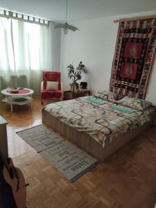 a bedroom with a bed and a chair and a guitar at Apartmani Nina in Sarajevo