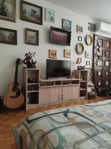 Una sala de estar con un televisor de pantalla plana y una guitarra. en Apartmani Nina, en Sarajevo