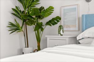 Katil atau katil-katil dalam bilik di Crescent Moon Palace - A Luxury Home with Pool, Parking, Just steps to the Beach